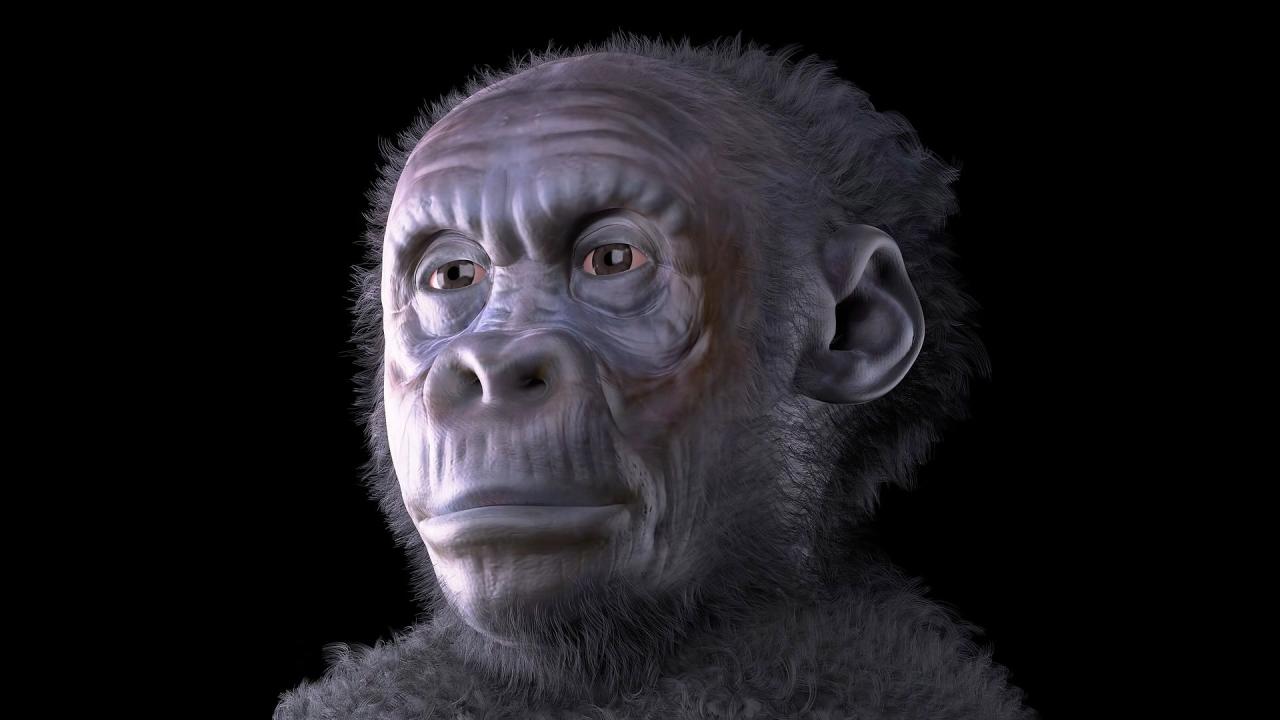 What Are The Things That Make You Human? Exploring Our Unique Essence What Are The Things That Make You Human? Exploring Our Unique Essence