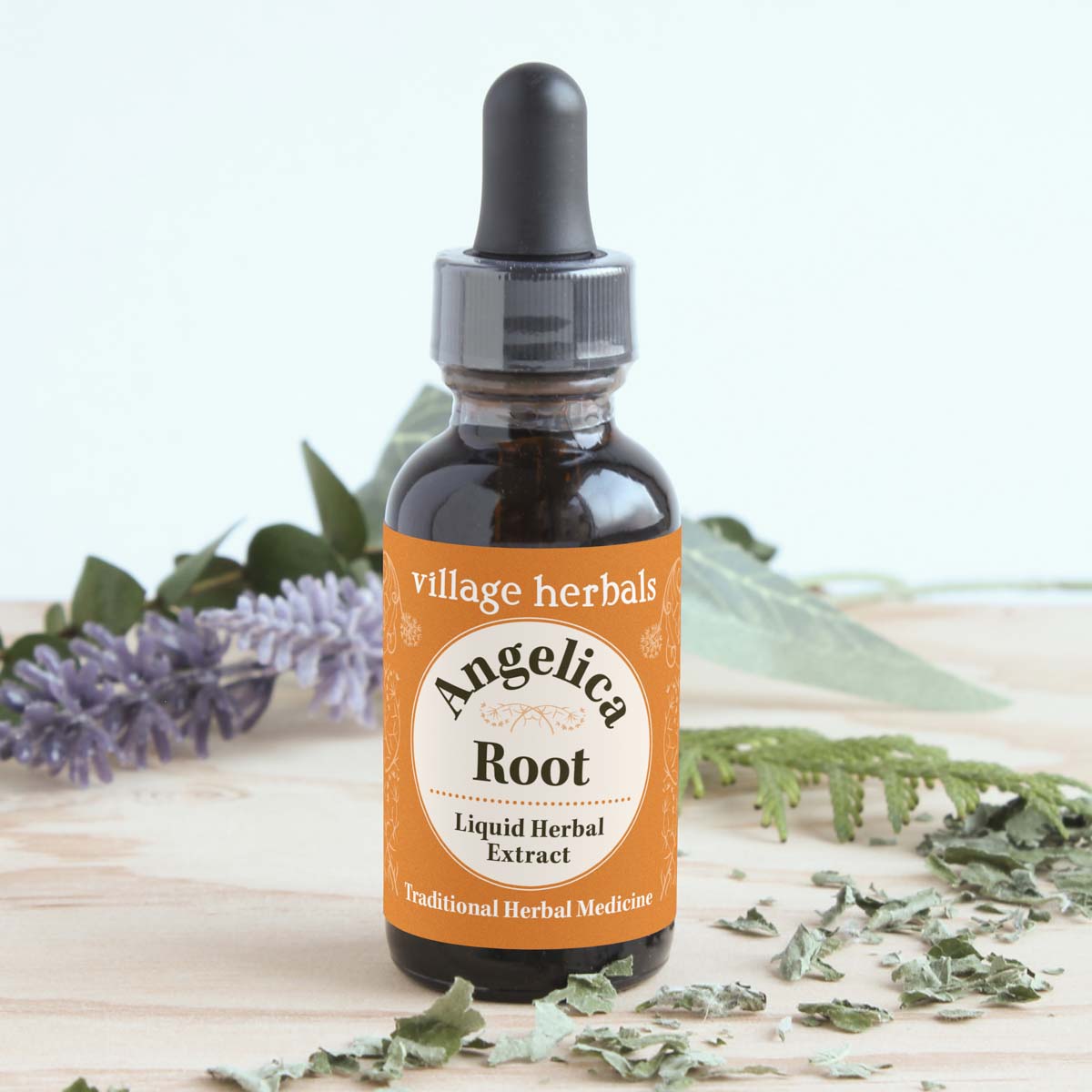 Angelica, Angelica archangelica - Village Herbals Angelica, Angelica archangelica - Village Herbals