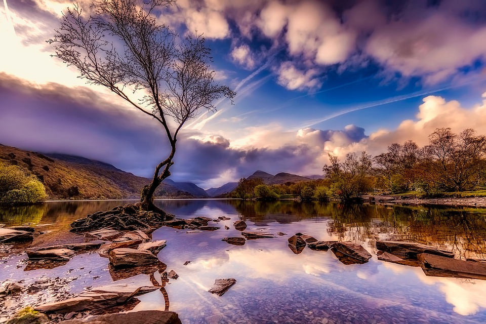 Rental Properties and Real Estate in Ripley, QLD 4306 (+3 locations) Pg ... Rental Properties and Real Estate in Ripley, QLD 4306 (+3 locations) Pg ...